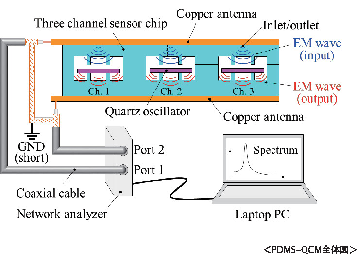 PDMS-QCM_all.jpg