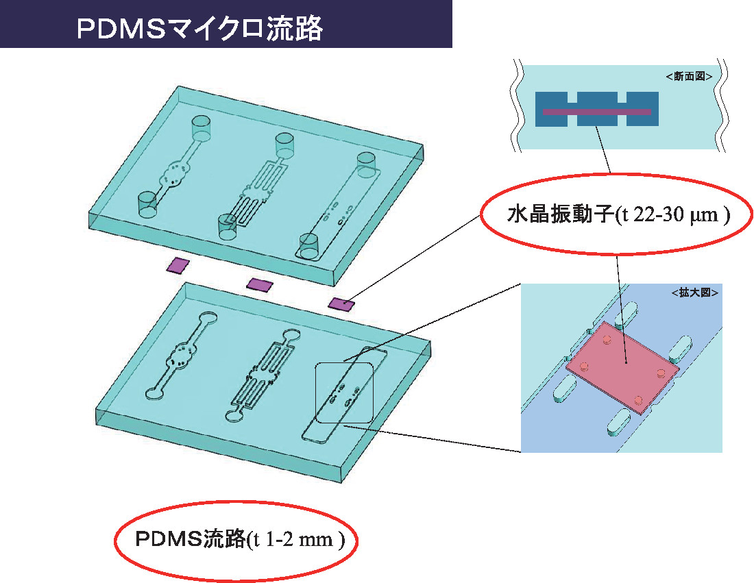PDMS_micro流路.jpg