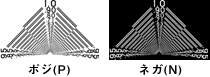 ポジとネガ   Positive type and Negative type